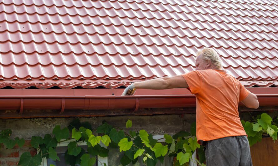 Gutter Cleaning: 6 Tips On How To Maintain and Clean Your Gutters