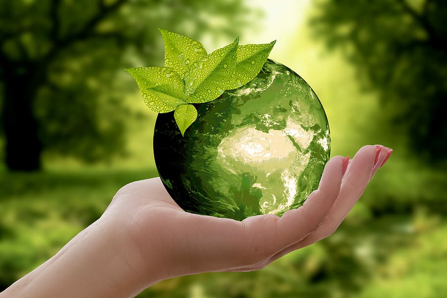 Epson printers sustainable