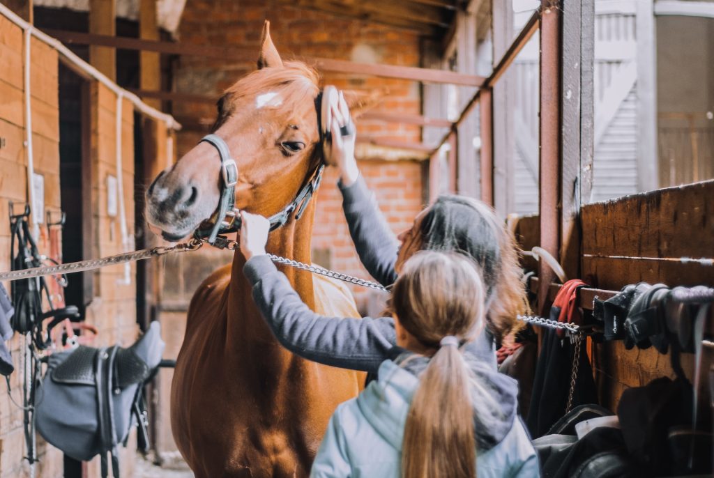 Horse grooming tips