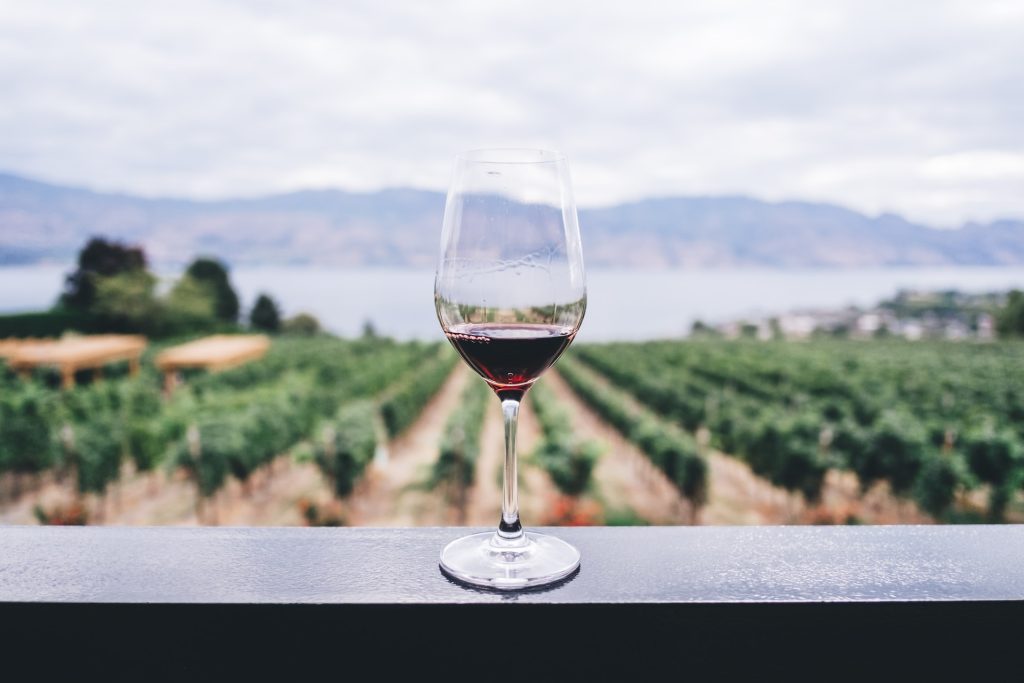 Pinot Noir 