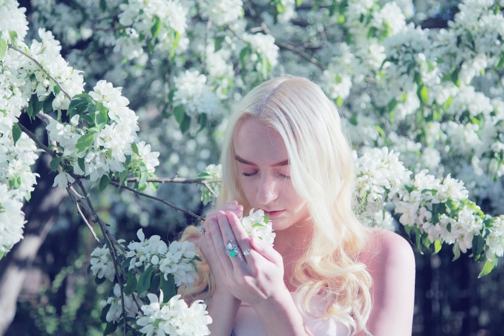 Seasonal Scents