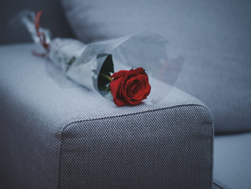 gift roses