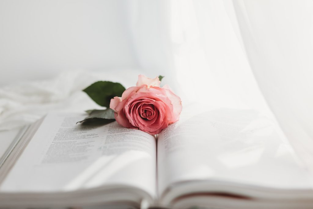 historical significance of roses