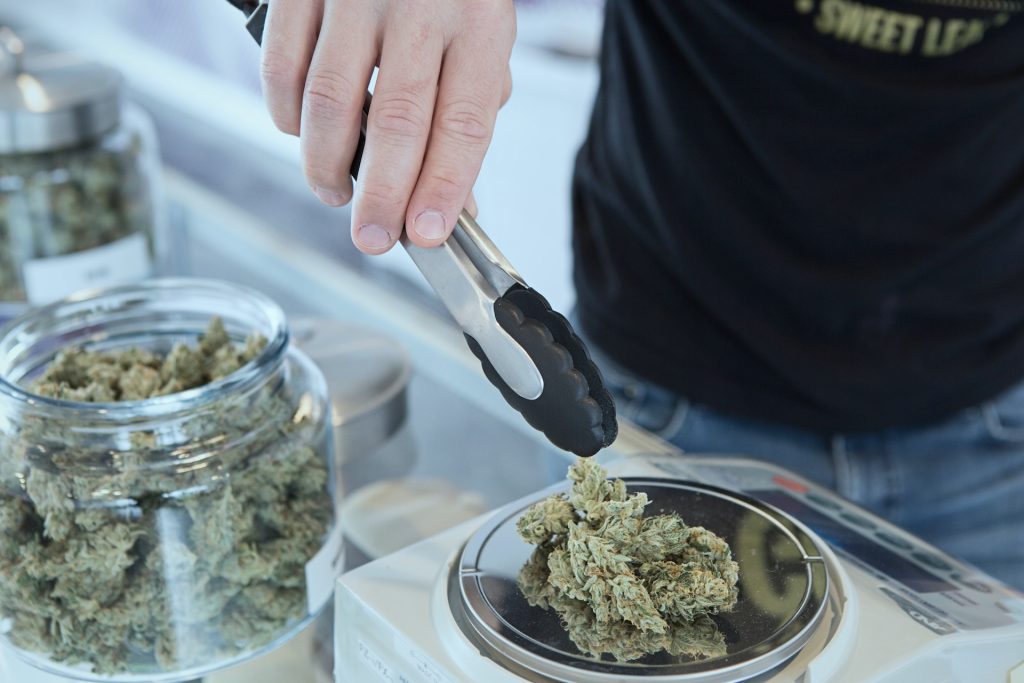 Buying CBD THC for pets