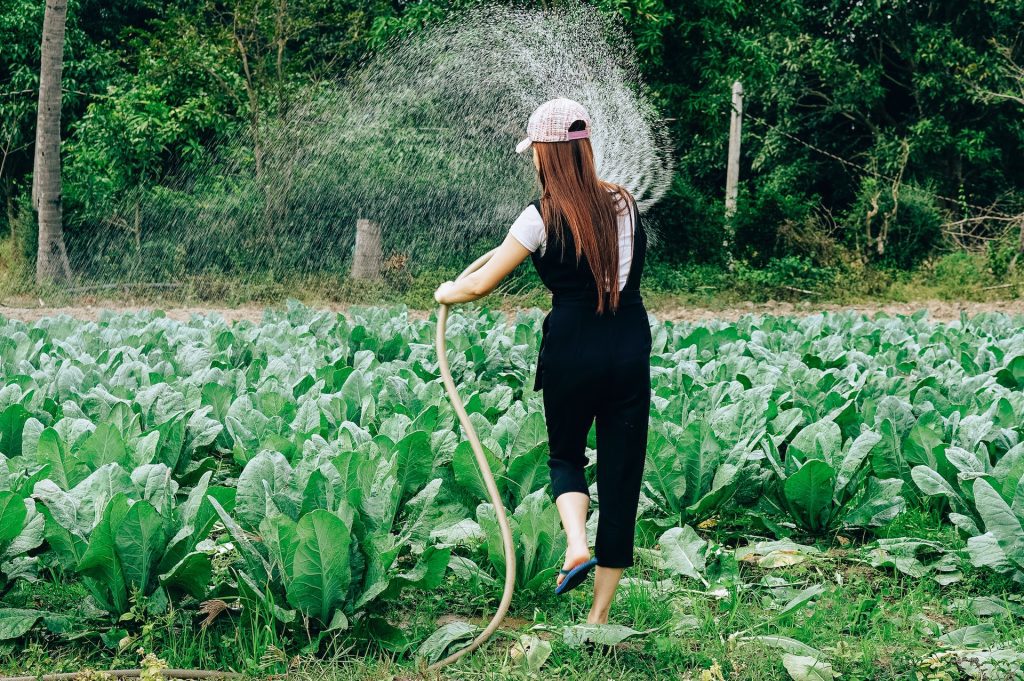 Supporting Equipment for Garden Maintenance