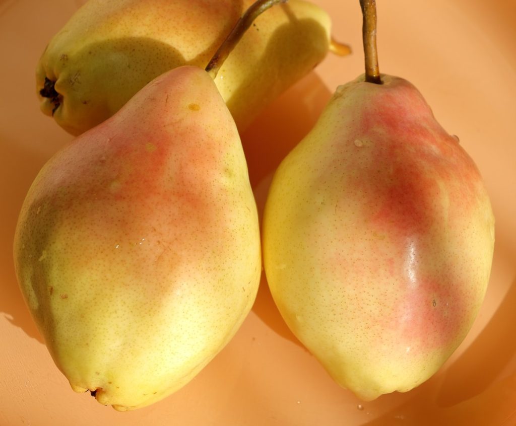 Elegant pears arranged on a plate