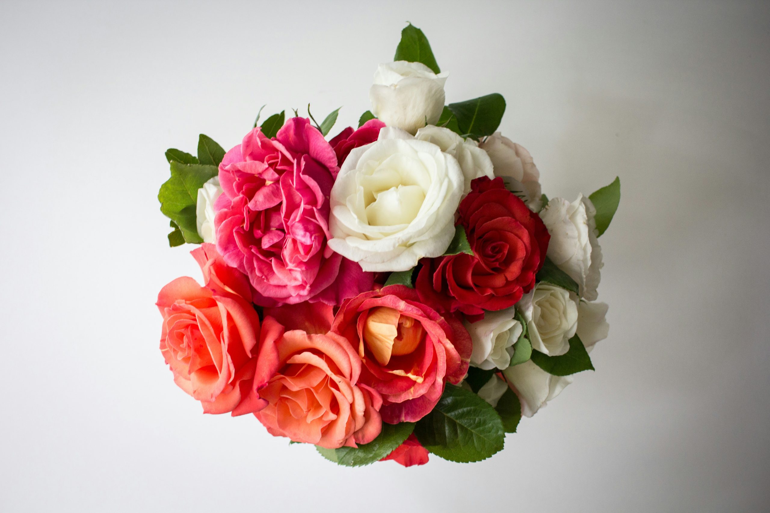 Mixed bouquet of pink, white, red, and coral roses viewed from above